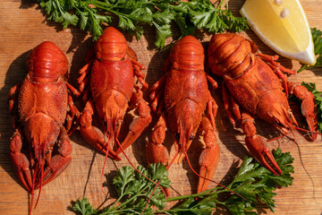 Boiled red crayfish or crawfish with parsley and lemon on the wooden kitchen board. Top view, flat lay. Menu for pub or reustarant