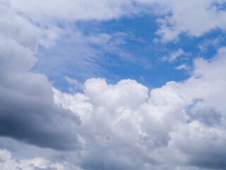 Background is sky and cloud