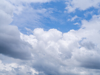 Background is sky and cloud