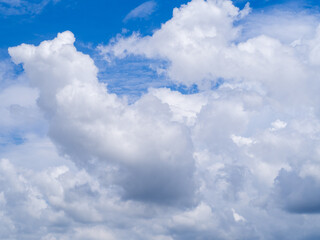 Background is sky and cloud