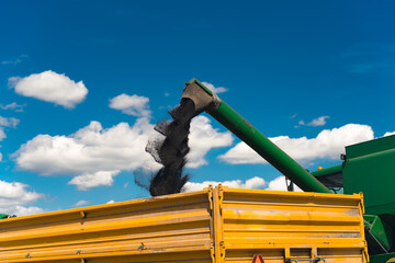 Close up of a combine harvester loading grain into a transport truck using the auger. Crop season....
