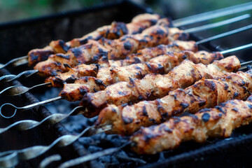 Delicious meat skewers on brazier during picnic