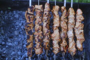 Delicious meat skewers on brazier during picnic