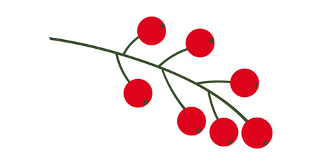 A sprig of wild lingonberry. Vector illustration.