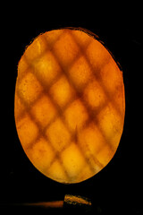 Detail door with yellow window