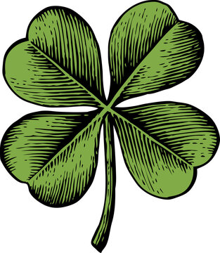 clover with four leaf - vintage engraved png illustration (hand drawn style).