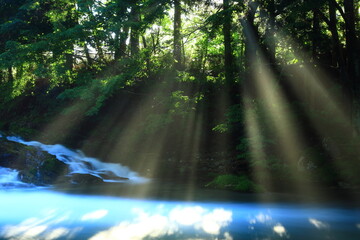 Fototapeta premium 岩手県住田町 夏の渓流