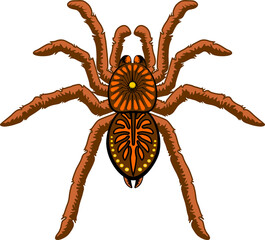 Araignées marron Halloween Tarantula Arachnid Animal élément isolé