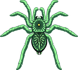 Spinnen lichtgroen Halloween Tarantula Arachnid Animal geïsoleerd element