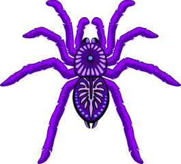 Spinnen paars Halloween Tarantula Arachnid Animal geïsoleerd element