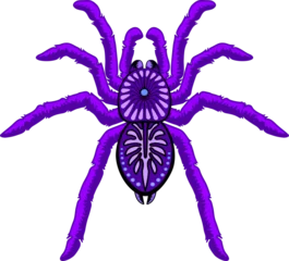 Glasschilderij Draw Spinnen paars Halloween Tarantula Arachnid Animal geïsoleerd element