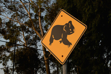 Australian warning road sign wildlife koala crossing Adelaide hills in dusk © Victoria
