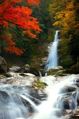 秋の笹の滝