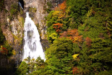 秋の不動七重の滝
