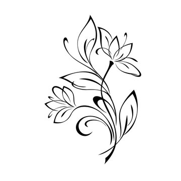 ornament 2438. stylized bouquet of blooming flowers with leaves and swirls. graphic decor