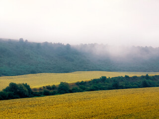 Morning fog over the fields in the valley. A plain under gentle hills. Atmospheric landscape.