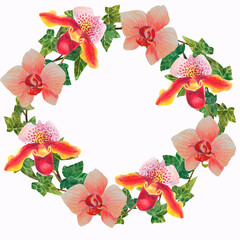 tropical orchid in watercolor and colored pencils