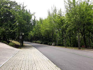 It is a secluded park with an asphalt road.