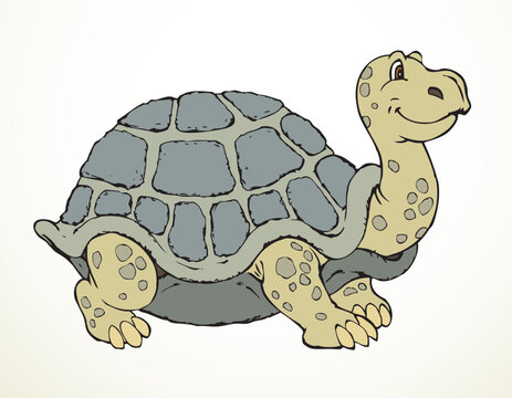 The big turtle. Vector drawing