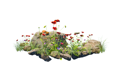 Small garden consists of stone bush and flowers with isolated background