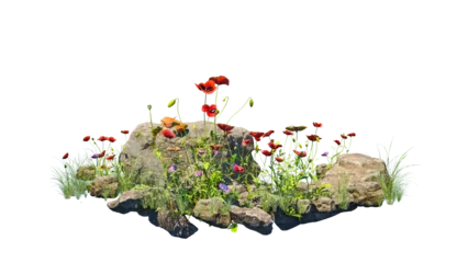 Poster Small garden consists of stone bush and flowers with isolated background © LAYHONG