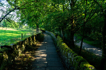 snicket to haworth, country path, green, countryside