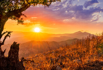 picturesque view from under the branch of a tree on a mountain slope to a mountains and sunset or...