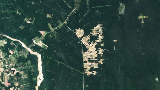 Agriculture growth and food production with deforestation time lapse aerial satellite view from sky, planet earth background. Based on images by Nasa