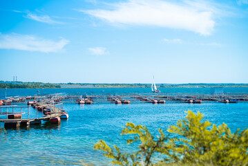 Obraz premium Yacht on the summer lake