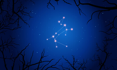 Сonstellation of Canis Major. Stars on the blue night sky with silhouette of tree. Constellation scheme collection