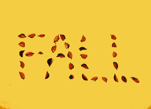 Fall Made Of Potpourri On Yellow Background, Creative Autumn Design
