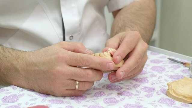 Dental technician examining gypsum plaster cast of jaws and removable dentures