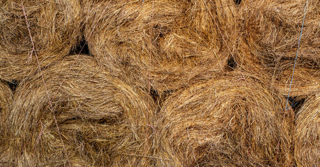 Hay in bales collected for horses. Texture, background, banner