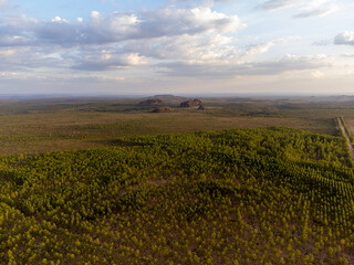 sunset over the field