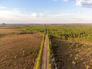 Fototapeta na wymiar beautiful road with sandy soil surrounded by trees in the brazilian savannah