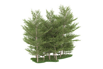 Forest on transparent background. 3d rendering - illustration