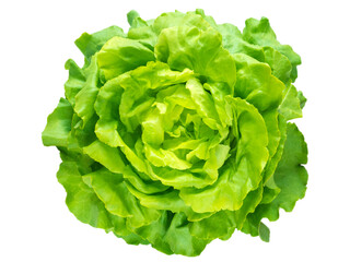 Green lettuce salad head top view isolated transparent png - obrazy, fototapety, plakaty