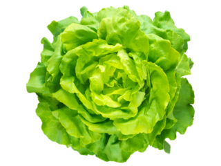 Green lettuce salad head top view isolated transparent png