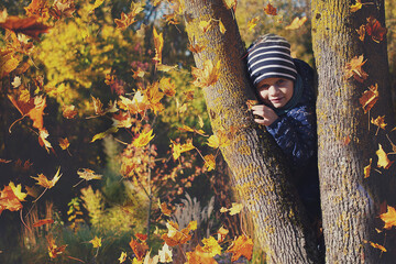 European child, 5 years old, playing with leaves in an autumn park