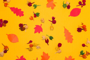 autumn yellow background with leaves and decorative dry potpourri, creative art design