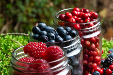 Berries fresh assorted mix overhead arrangement close up in studio on dark background.