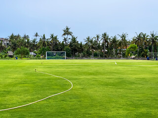 Fototapeta na wymiar View of a huge football field with a green fresh lawn surrounded by palm trees and trees in Indonesia on the island of Bali