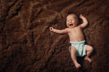 portrait of a newborn baby lying on a brown fur blanket