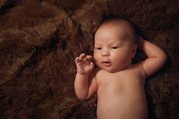 portrait of a newborn baby lying on a brown fur blanket