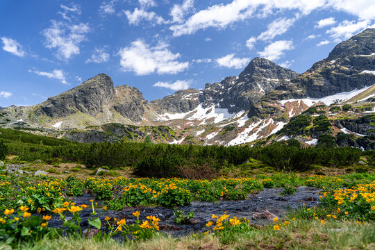 tatry, g&oacute;ry, karpaty, polska, słowacja