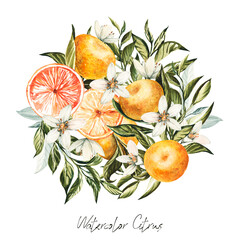 Citrus Tangerine Orange Blossoming Branches Bouquets Frames Orange Fruit Italian Wedding Exquisite Invitations