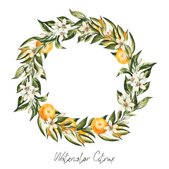 Naklejka premium Citrus Tangerine Orange Blossoming Branches Bouquets Frames Orange Fruit Italian Wedding Exquisite Invitations