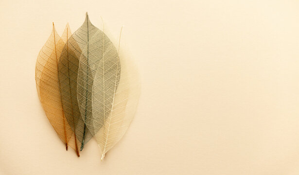 Artificial autumn leaves, closeup, flat lay, horizontal composition