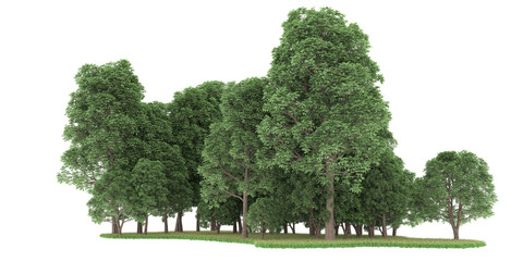 Forest on transparent background. 3d rendering - illustration