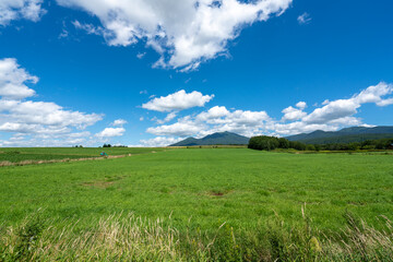 北海道、富良野市の農地と富良野岳の風景